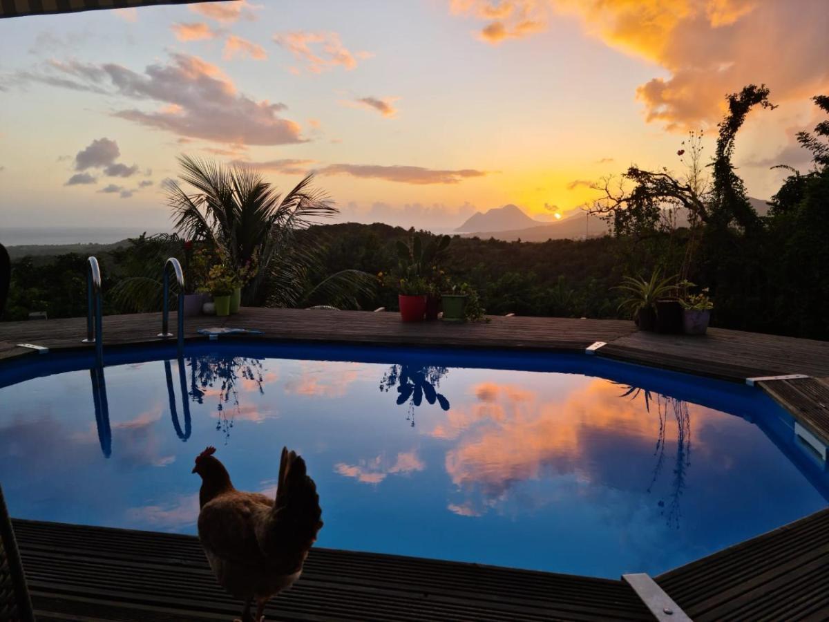 Chambre Chez L'Habitant Avec Piscine Privative Et Vue Panoramique Sur La Mer Des Caraibes Desmarinieres Eksteriør bilde